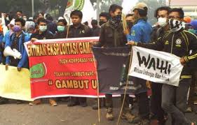 Polda Riau Ingkar Janji Soal Dokumen SP3 15 Perusahaan